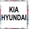 HYUNDAI / KIA (41)